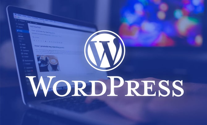 Wordpress-Website