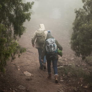 Trekking During Monsoon Season
